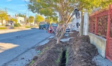 Vecinos denuncian que sin aviso les rompen veredas para instalar cables