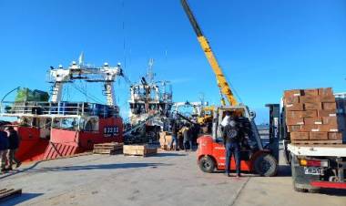 La planta de Conarpesa en Puerto Rosales tuvo su primera carga de langostino