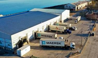 Se cargaron en Puerto Rosales 5 contenedores con langostinos para exportar a España