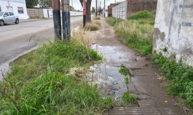 Denuncian pérdidas de agua potable desde hace meses