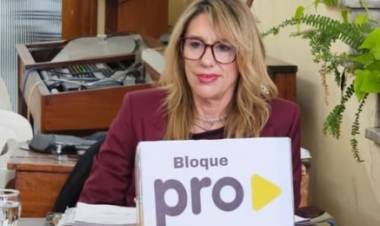 El Concejo Deliberante aprobó distinciones a proyectos presentados en la feria distrital de ciencias