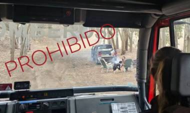 Bomberos de Pehuen Co encontraron una familia haciendo fuego en el Bosque Encantado 
