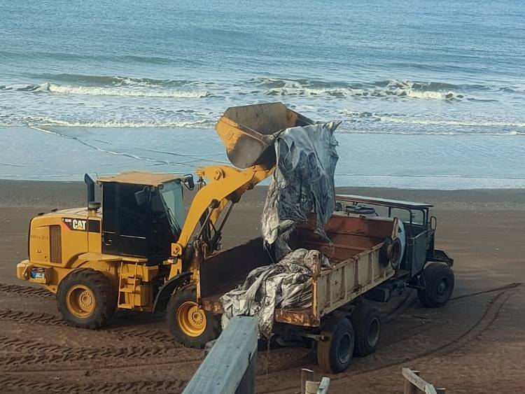 El Municipio continúa los trabajos de reacondicionamiento del frente costero de Pehuen Co
