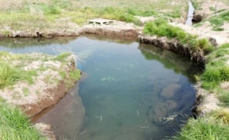 Uset: "Ya no hay presión de agua y el verano será complicado"