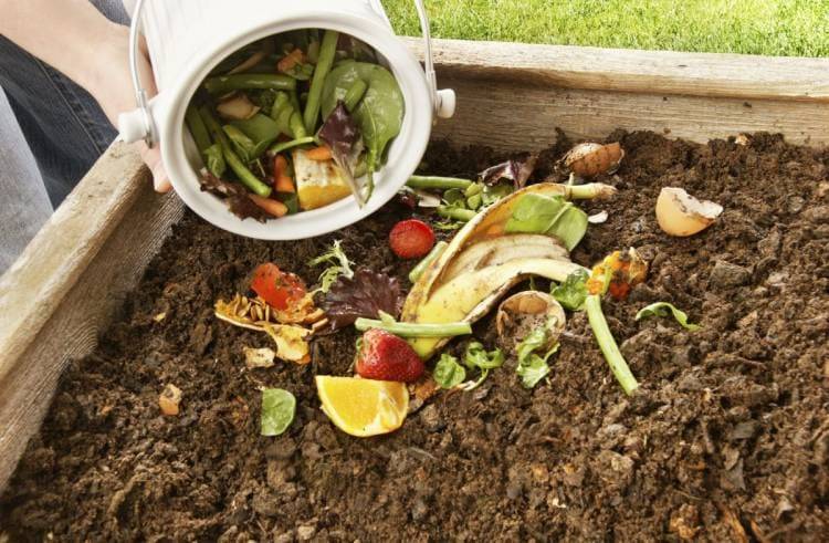 Pehuen Co: "Rincón del compostaje" será un nuevo espacio en la Sociedad de Fomento