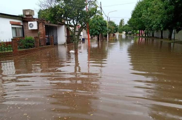 Personal del Municipio de Coronel Rosales realizó trabajos de mantenimiento y destape de desagües pluviales 