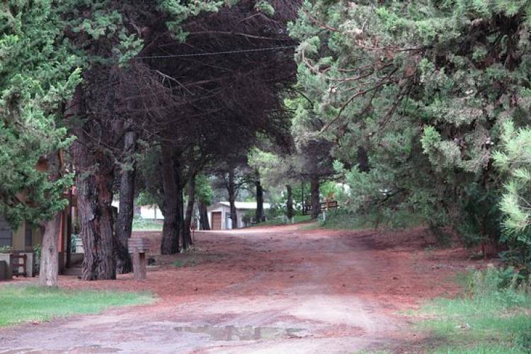 No pueden establecer precios fijos para alquileres de casas de Pehuen Co