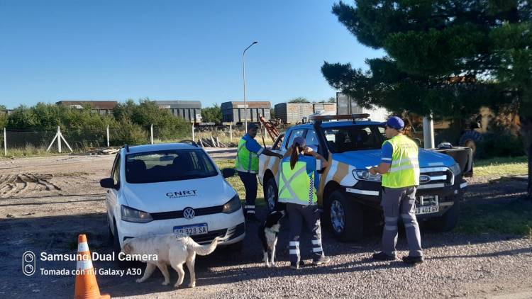 En un operativo la CNRT le quitó la licencia y secuestró el camión por positivo de alcoholemia