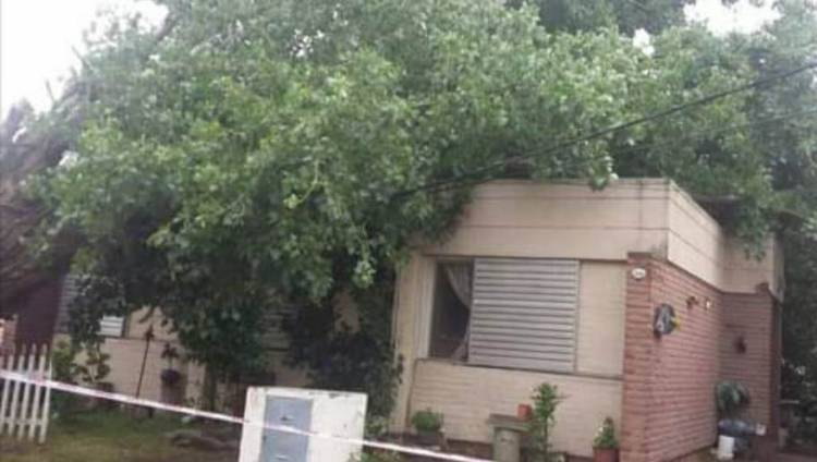 Un árbol cayó sobre una vivienda y no hubo heridos que lamentar