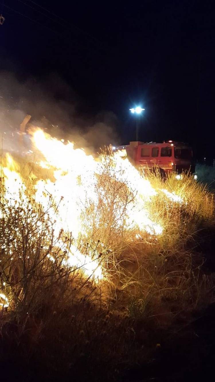 Varios incendios forestales se registraron en menos de 48 horas en Coronel Rosales
