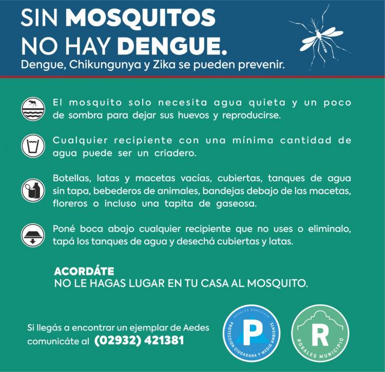 El Municipio refuerza la fumigación contra el Aedes y recuerda cómo extremar las medidas preventivas 
