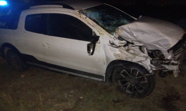 Una camioneta chocó contra un caballo en ruta 249