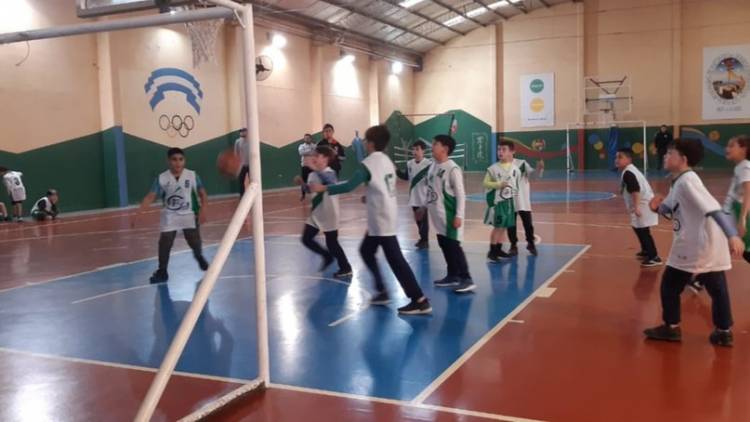 Gran demanda de personas inscriptas para los Torneos Bonaerenses 2023