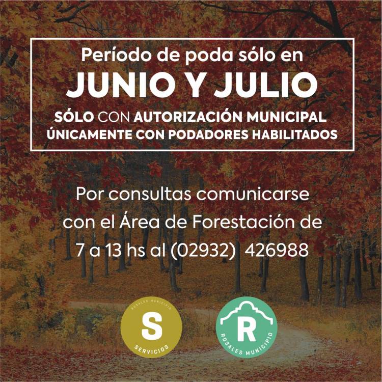 Cómo se realiza la poda con los permisos correspondientes por parte del Municipio