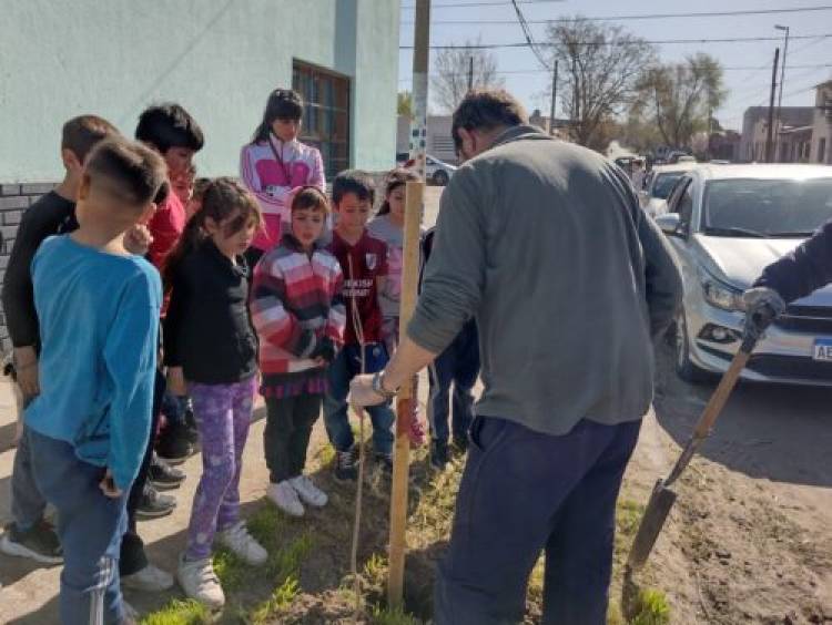 Por el “Día del árbol” el Municipio planta ejemplares en espacios públicos y distintos barrios 