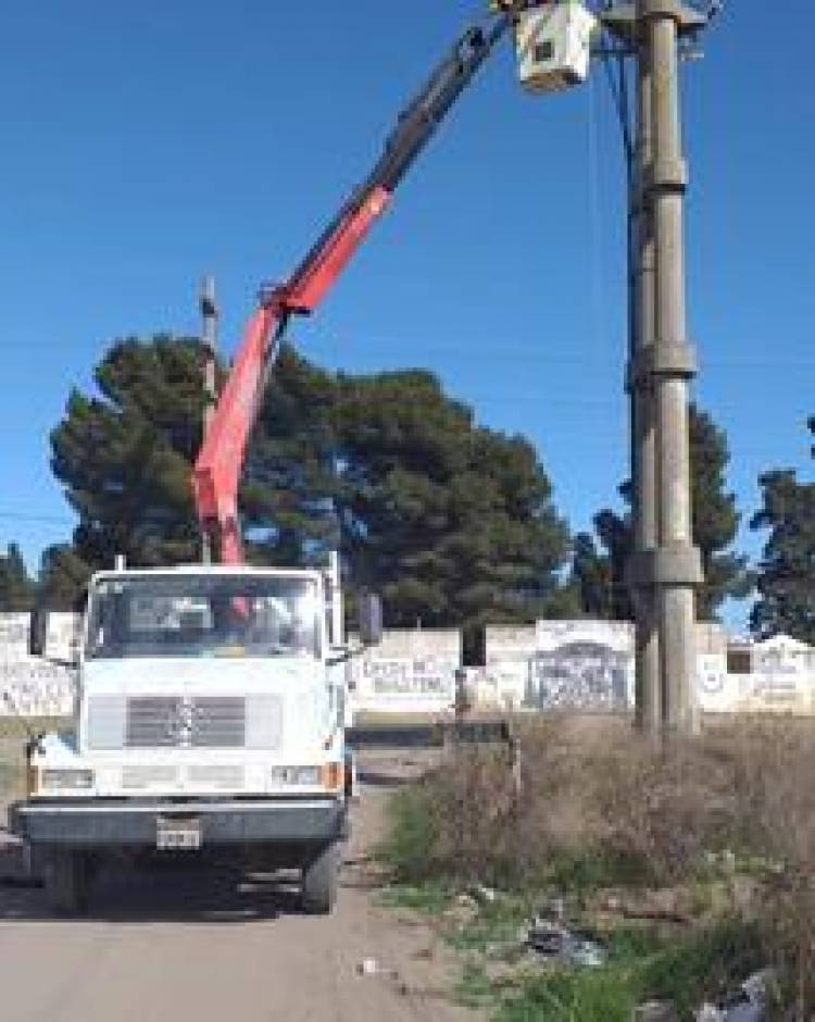 La Cooperativa Eléctrica de Punta Alta realiza tareas de mantenimiento