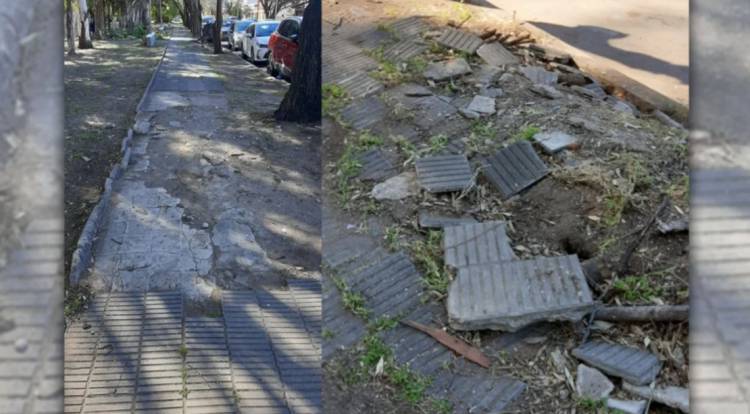 Piden que se reparen las veredas por que dificultan el acceso al Parque Sarmiento
