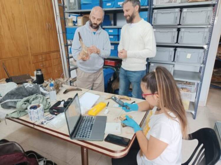 Se realizó una nueva visita científica extranjera al Museo Carlos Darwin