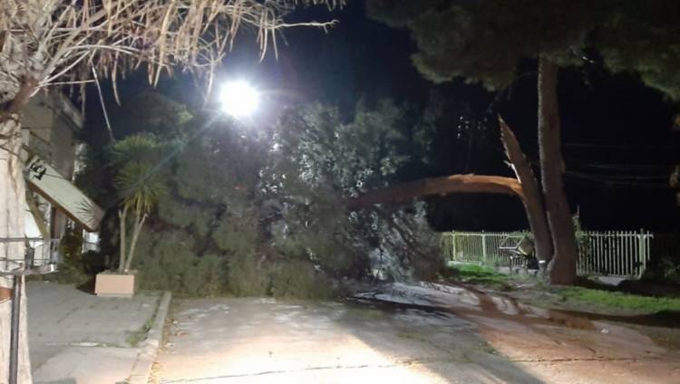 Trabajadores de Defensa Civil pidieron donar sus horas extras para familias afectadas