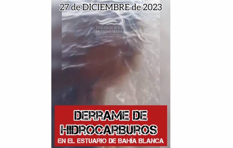 Denunciaron un derrame de petróleo en la ría de Bahía Blanca