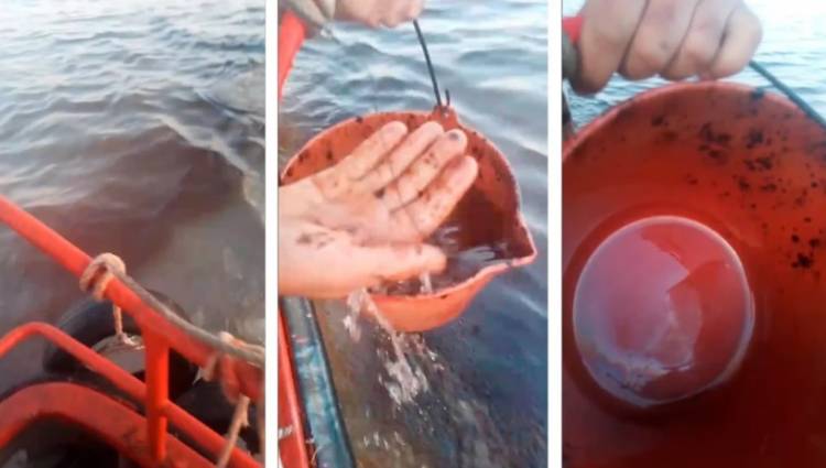 Derrame en la ría: La Empresa Oil Tanking emitió un comunicado