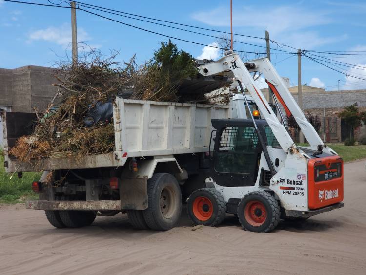 El Municipio de Coronel Rosales realizó tareas de limpieza en la Nueva Bahía