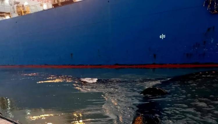 La Provincia suspendió las operaciones de la Empresa Oiltanking tras el derrame de petróleo