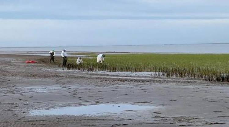 Continúan las tareas de limpieza en la ría tras los derrames de petróleo