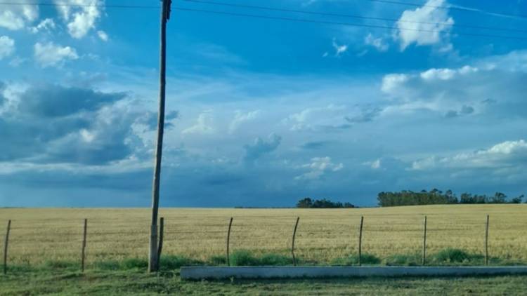 Productores cercanos a Pehuen Co no tienen energía eléctrica desde el 16 de diciembre de 2023