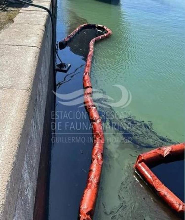 Denuncian un nuevo derrame de hidrocarburos en la ría