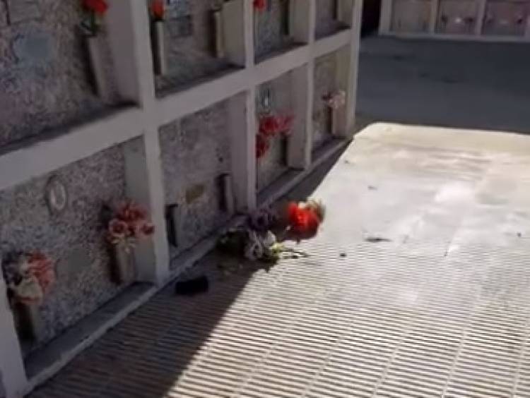 Destrozos y robos en el Cementerio Municipal