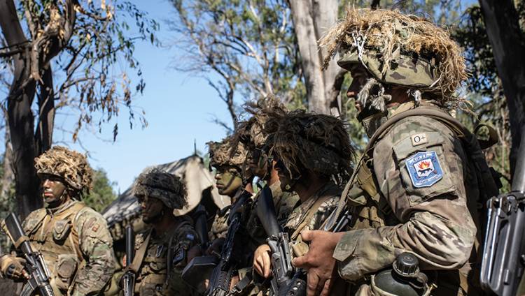 Campaña del Batallón de Infantería de Marina Nº 2