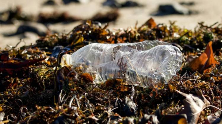 Detectan cuál es el residuos más encontrado en playas como Arroyo Pareja