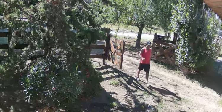 Un delincuente ingresó a robar a un departamento de turistas en Pehuen Co