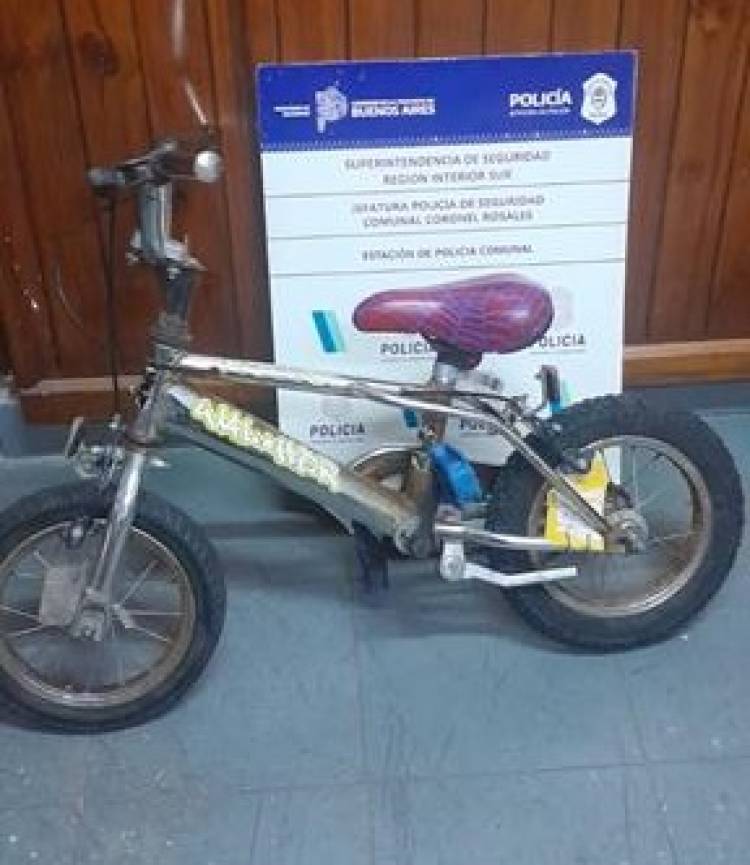 Una mujer robó una bicicleta para niños de un patio y la atraparon
