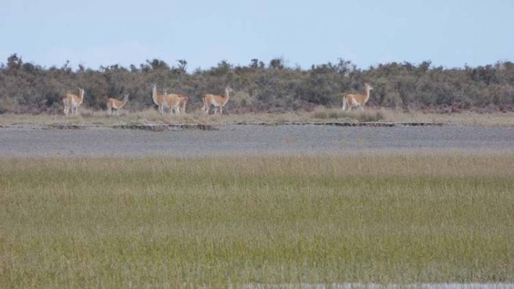 A pesar del reclamo de Villarino, Coronel Rosales reafirma su derecho sobre las islas Bermejo y Trinidad