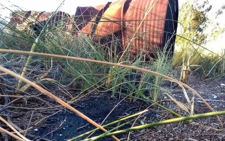 Reabren la investigación del caso de los 300 barriles oxidados con petróleo enterrados