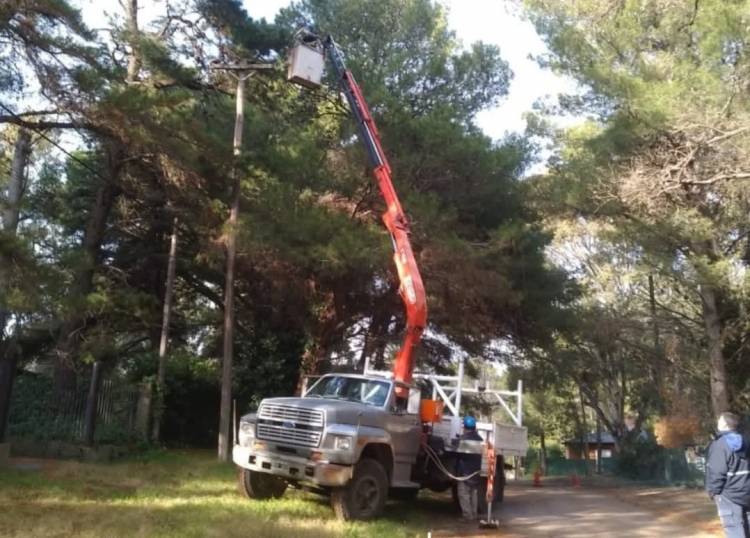 La Cooperativa Eléctrica realizó trabajos de poda en Pehuen Co