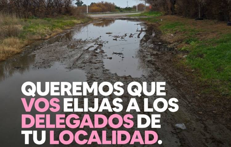 Concejales proponen que las localidades puedan elegir a sus propios delegados