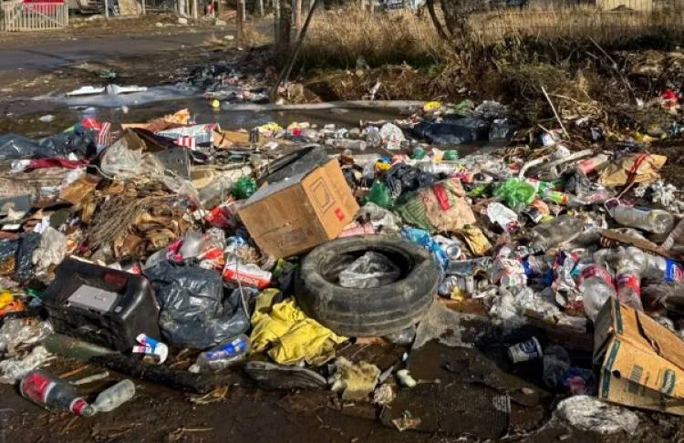 Podrá denunciarse por WhatsApp a quienes arrojen residuos formando microbasurales