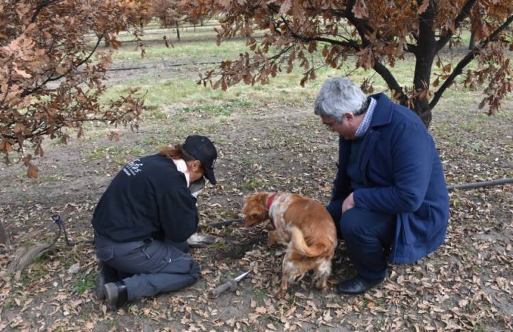 Provincia lanzó un programa para subsidiar con hasta $20millones iniciativas de valor agregado