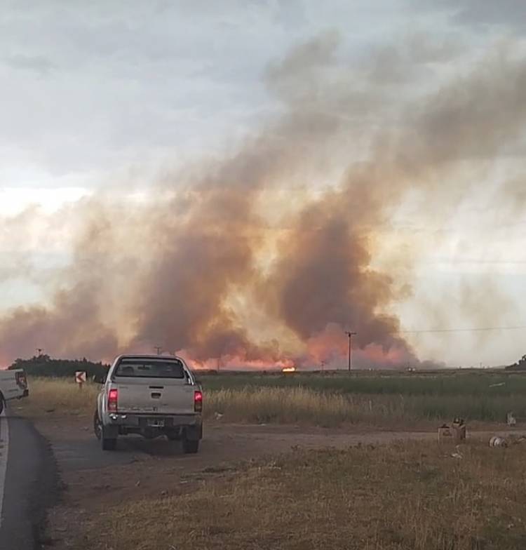 Los incendios del basural de Punta Alta contaminan y enferman a la gente