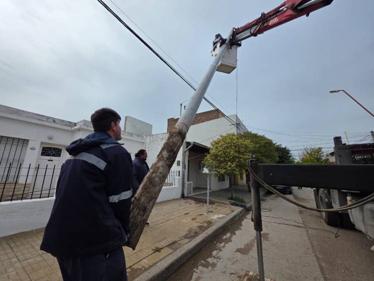 Postes colocados en medio de la vereda generan enorme polémica con vecinos, el Municipio y el HCD