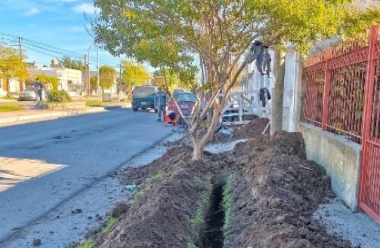 Vecinos denuncian que sin aviso les rompen veredas para instalar cables