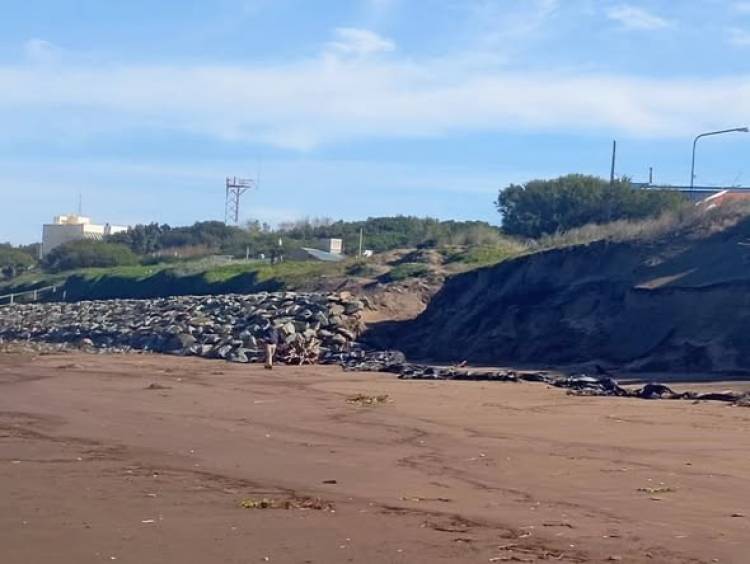 El Intendente Aristimuño destacó el funcionamiento de la defensa costera en Pehuen Co tras el temporal