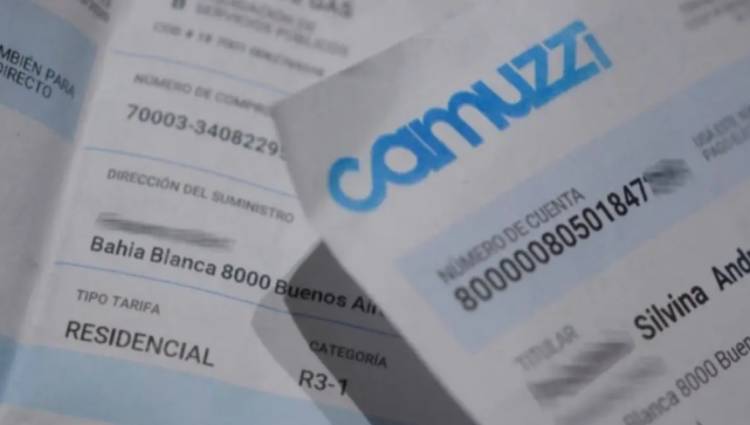 "Todos debemos defender la zona fría en la boleta del gas" afirmó Medina