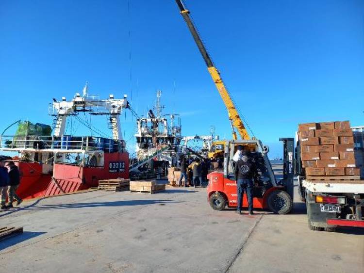 La planta de Conarpesa en Puerto Rosales tuvo su primera carga de langostino