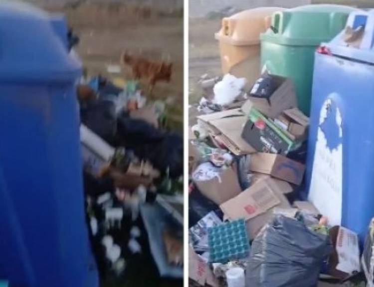 Reclaman al Municipio que un basural clandestino en Punto Limpio “es un juntadero de lauchas”
