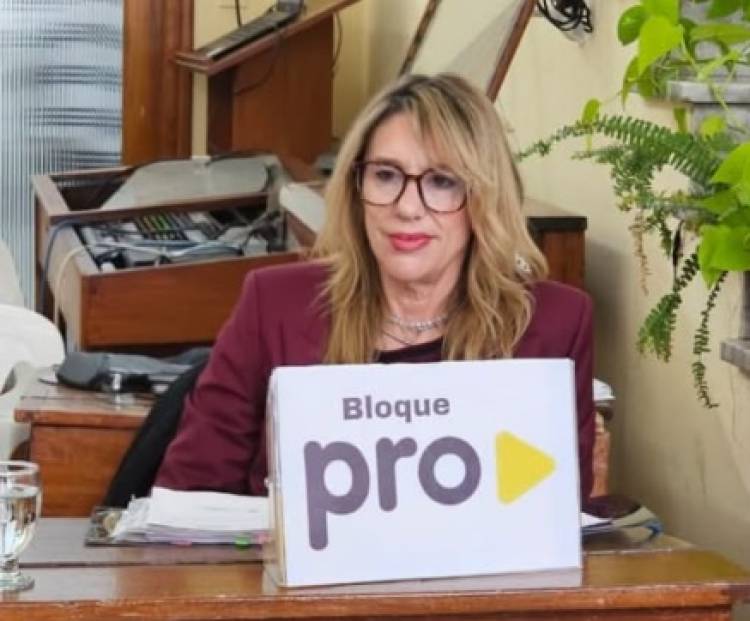 El Concejo Deliberante aprobó distinciones a proyectos presentados en la feria distrital de ciencias