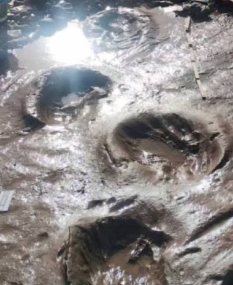 Encontraron más huellas de perezosos gigantes en Pehuen Co